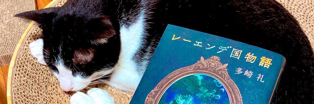 boku617's profile banner image