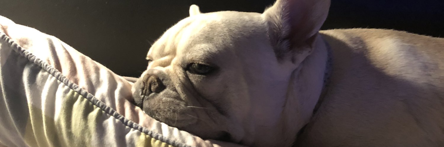 mikedutchy's profile banner image