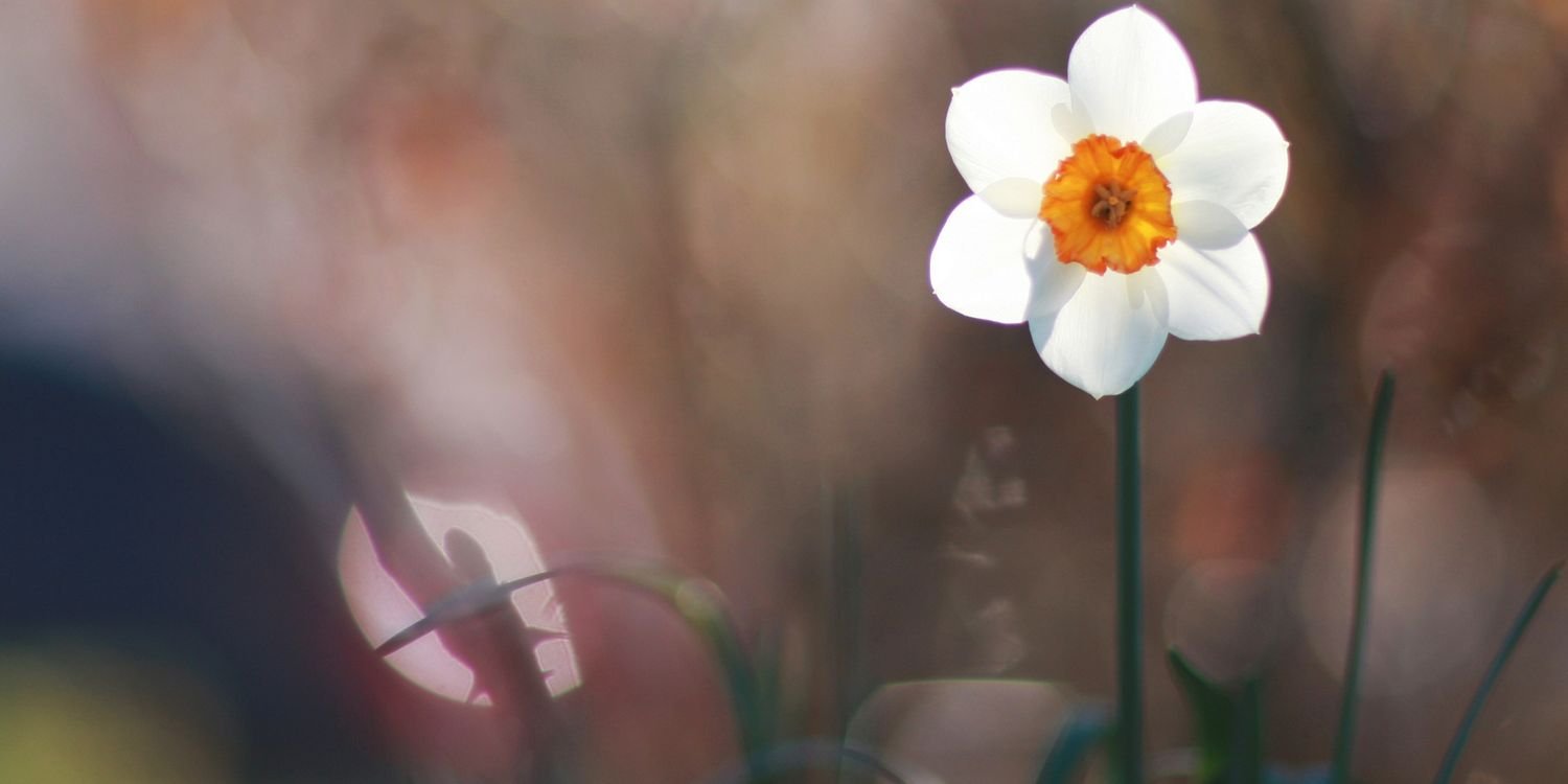Vidhisha07's profile banner image