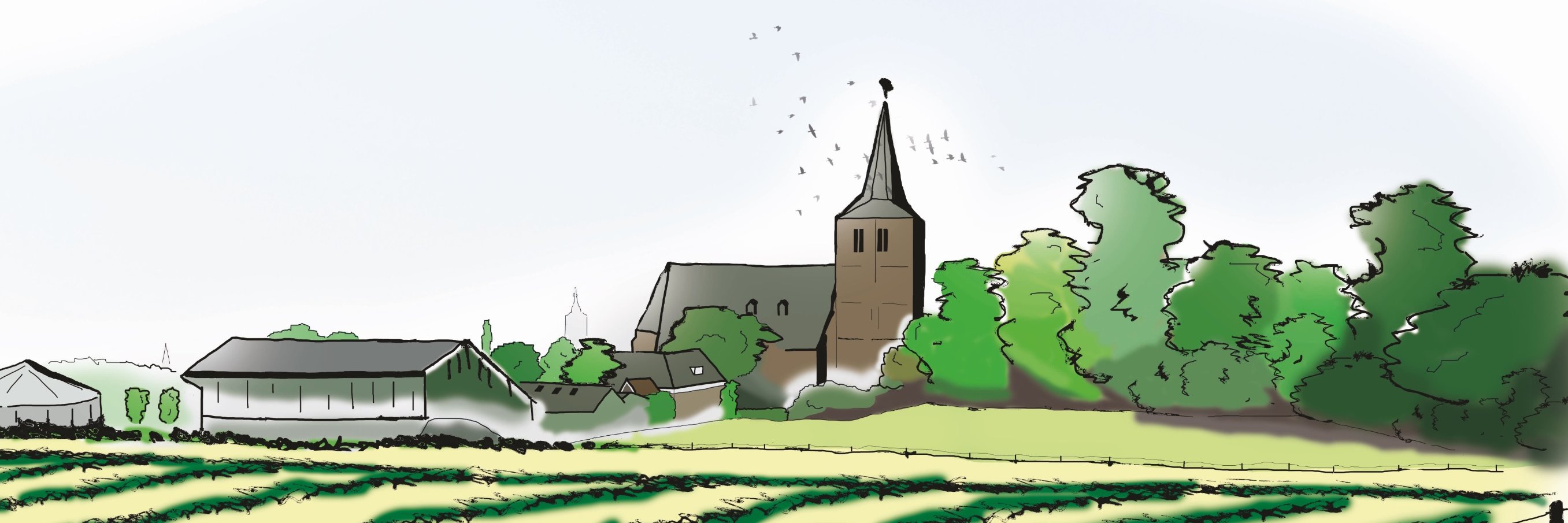 thijs_deboer's profile banner image