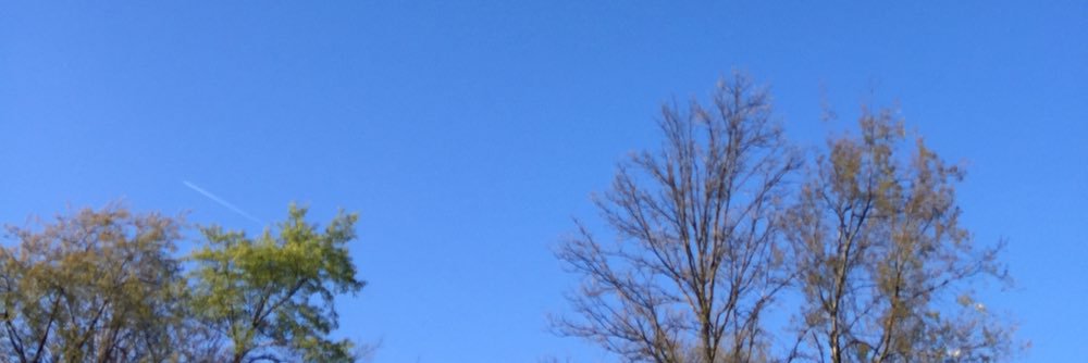 gary_gilmore's profile banner image
