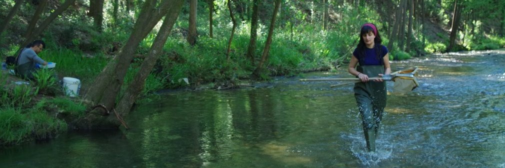 Andreia Rodrigues banner