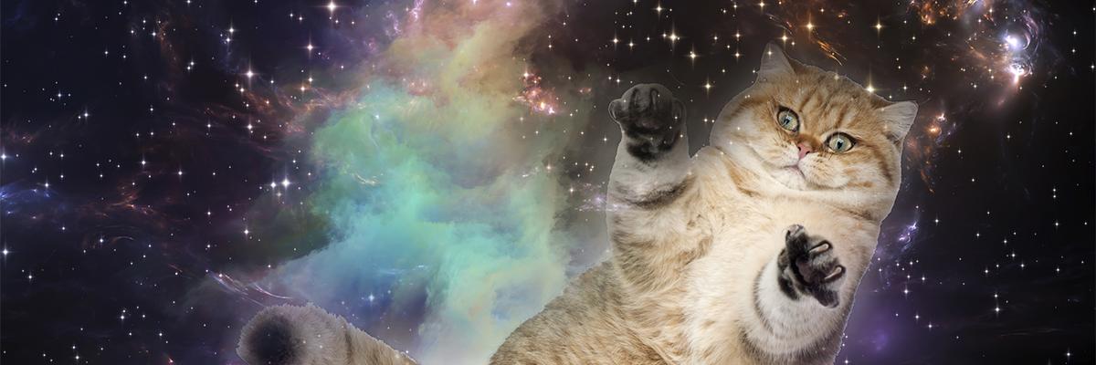 districtofash's profile banner image