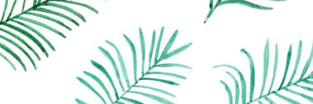 ClariiCampos's profile banner image