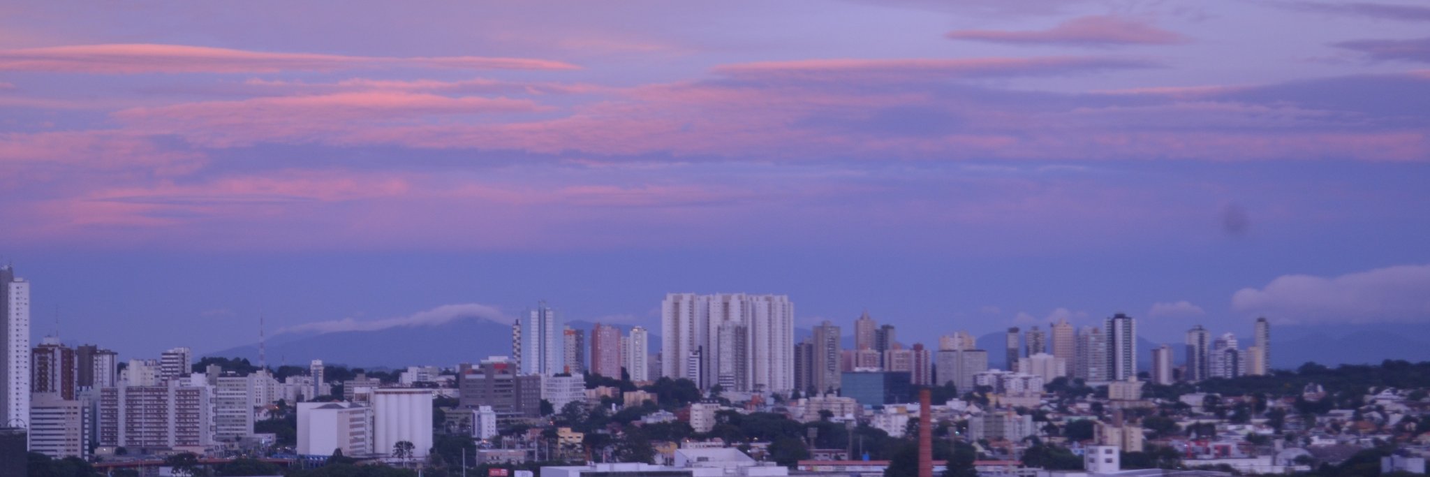 TateTavella's profile banner image