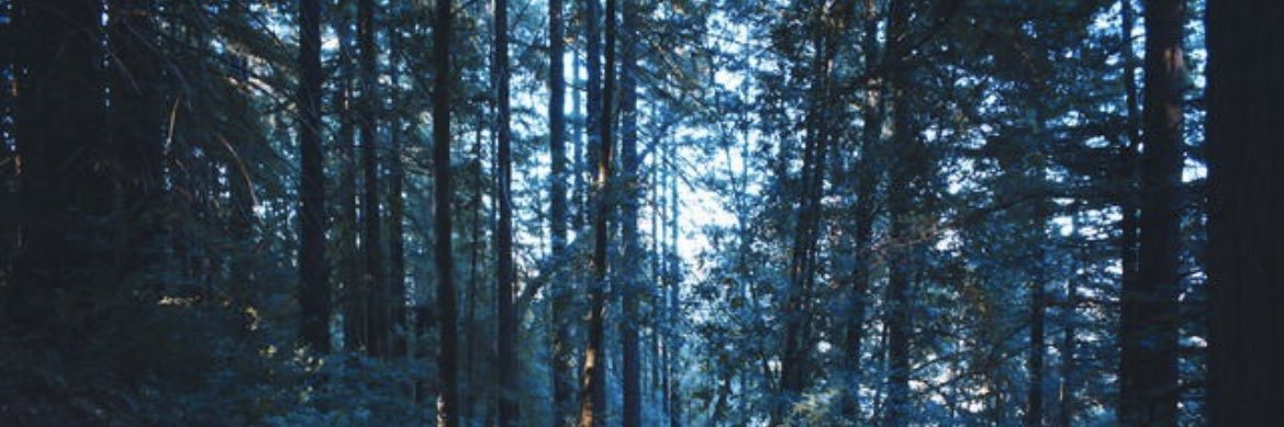 beckasaurus5's profile banner image