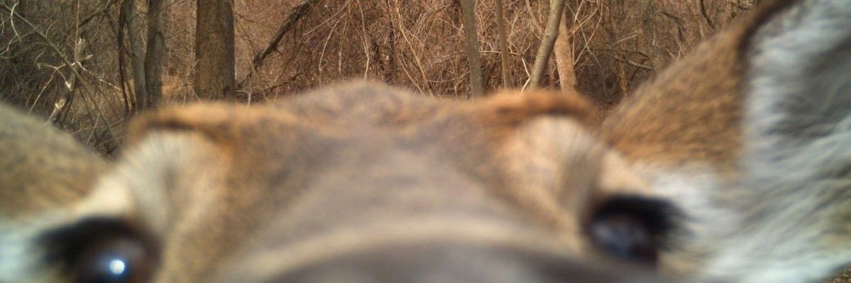 luujimeenez's profile banner image