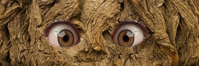 raidenchik's profile banner image