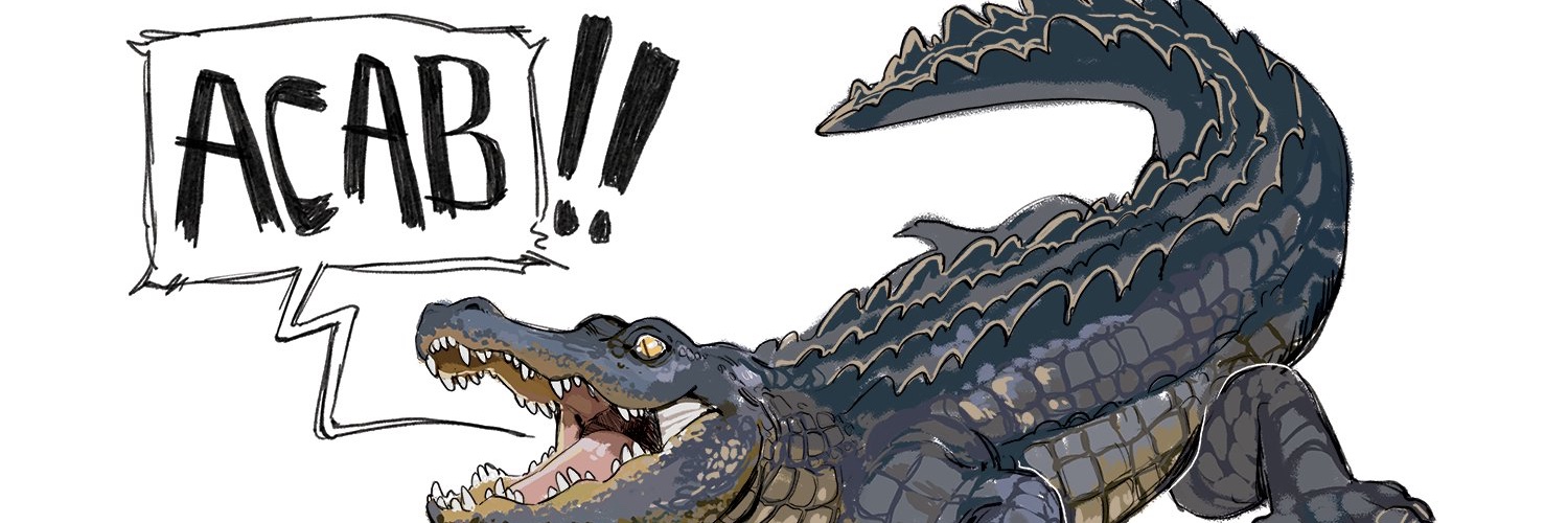 doldrumcircus's profile banner image