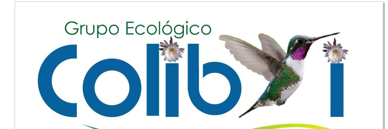 GRECOLIBRI's profile banner image