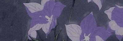 numako7246's profile banner image