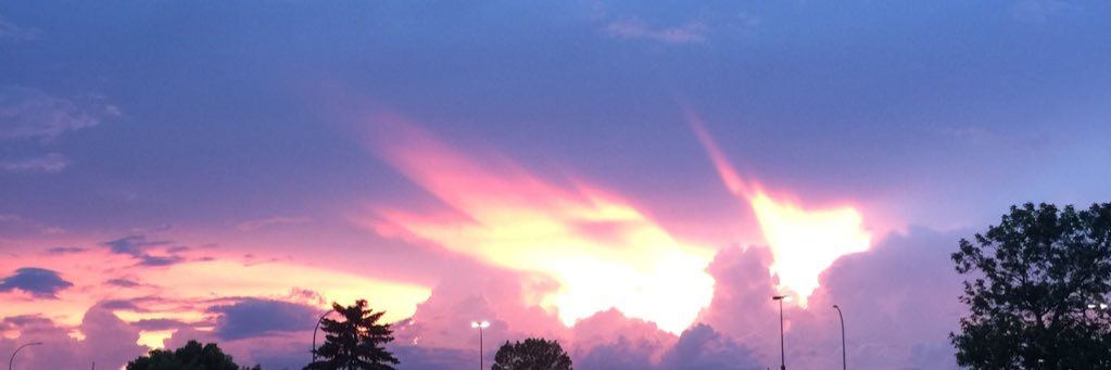 Shadow The Hitman banner