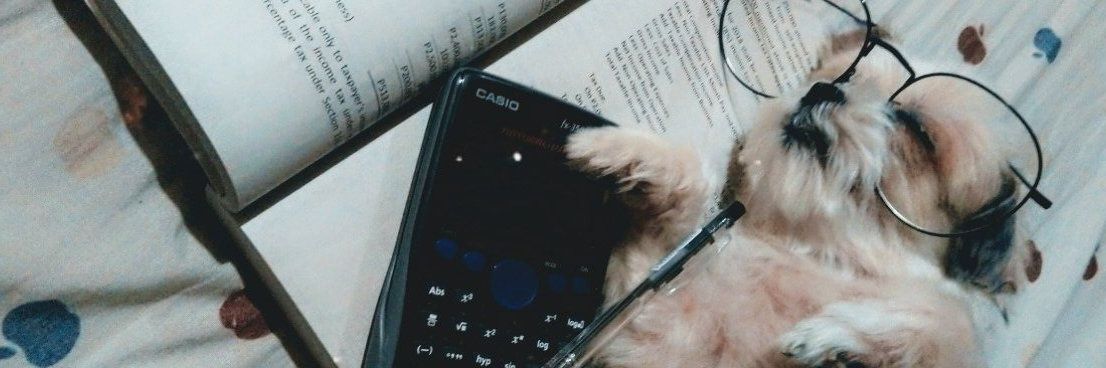emjeypot's profile banner image