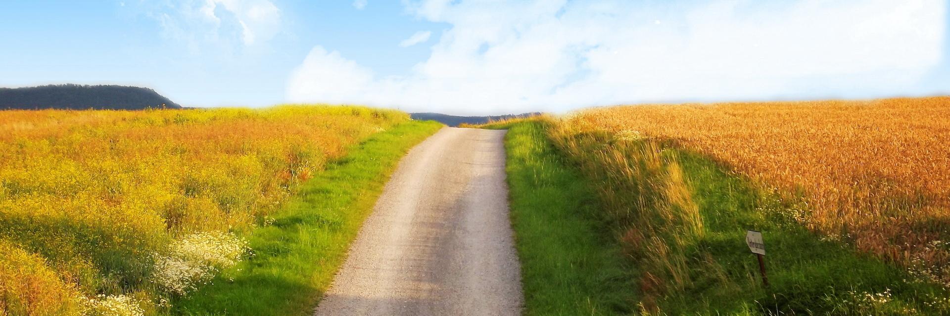 CharlieDorsch's profile banner image