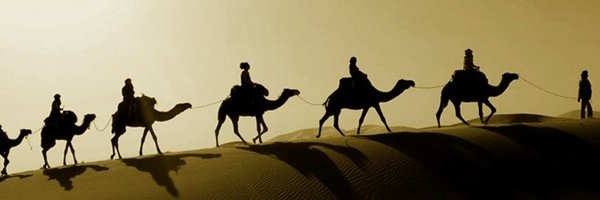 LtmUae's profile banner image