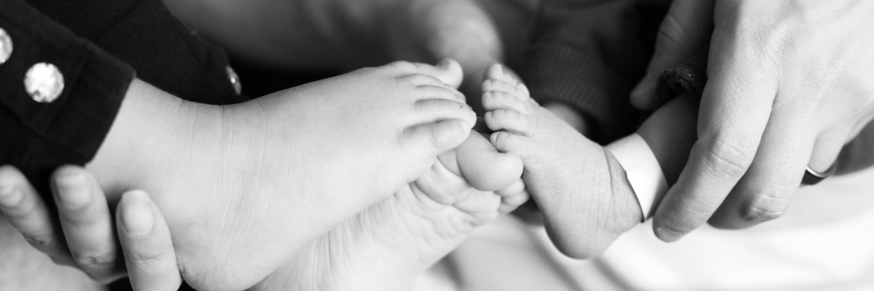 Amber Vlasnik banner