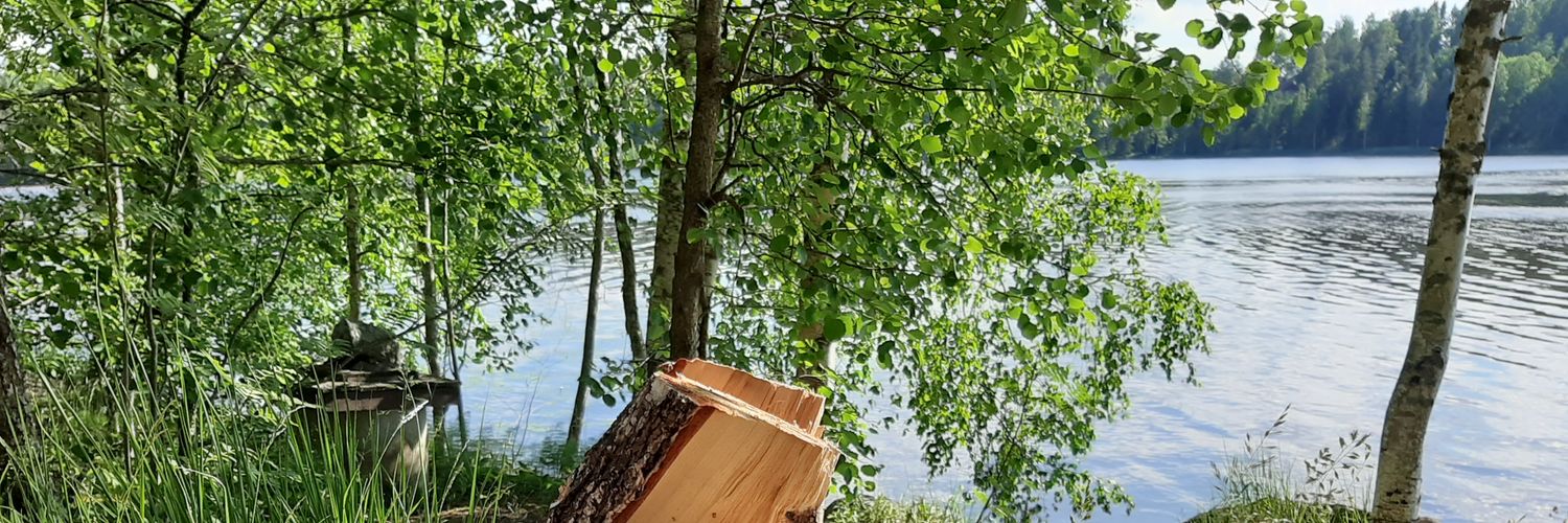 SJokiniemi's profile banner image