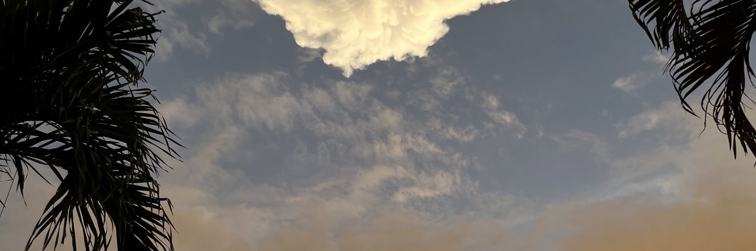 bavprya's profile banner image