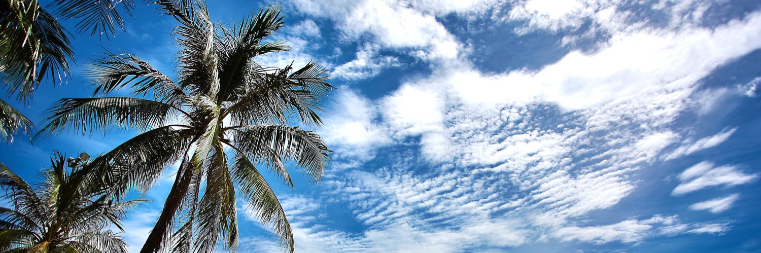 mwannesi's profile banner image