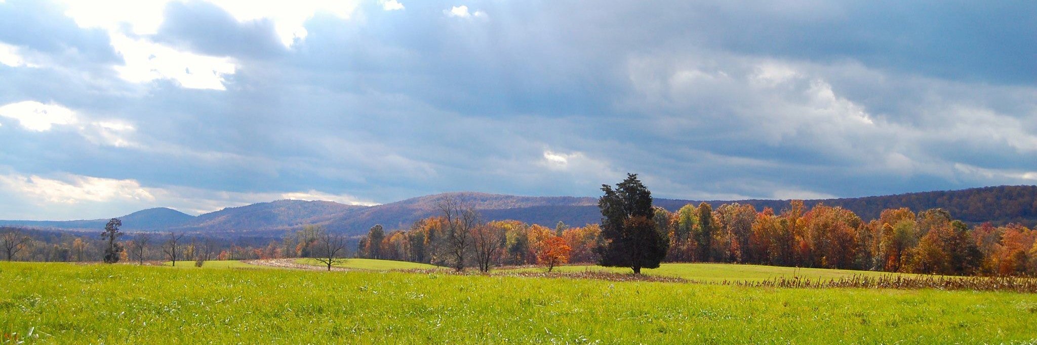 emmachaiken's profile banner image