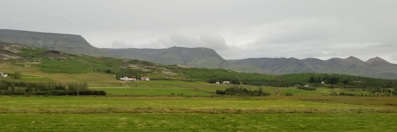 Chris Hammill banner