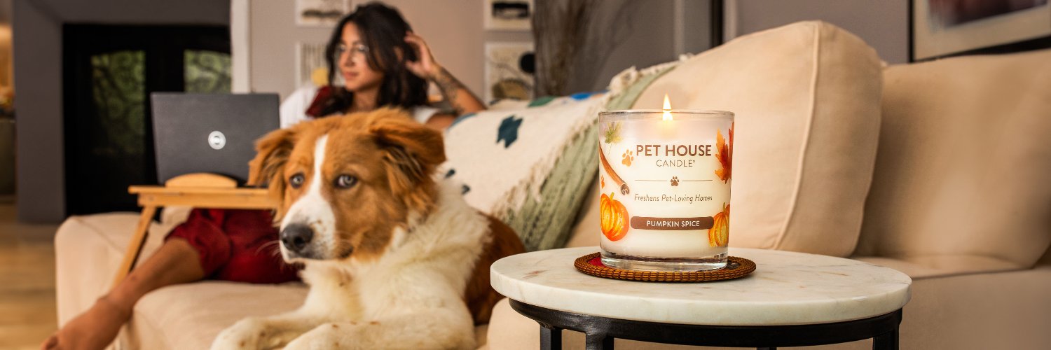 OneFurAllPets's profile banner image
