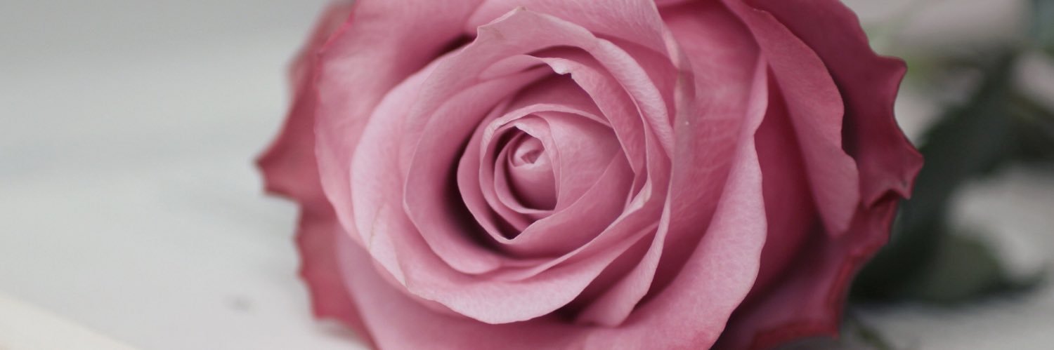 abby_madons's profile banner image