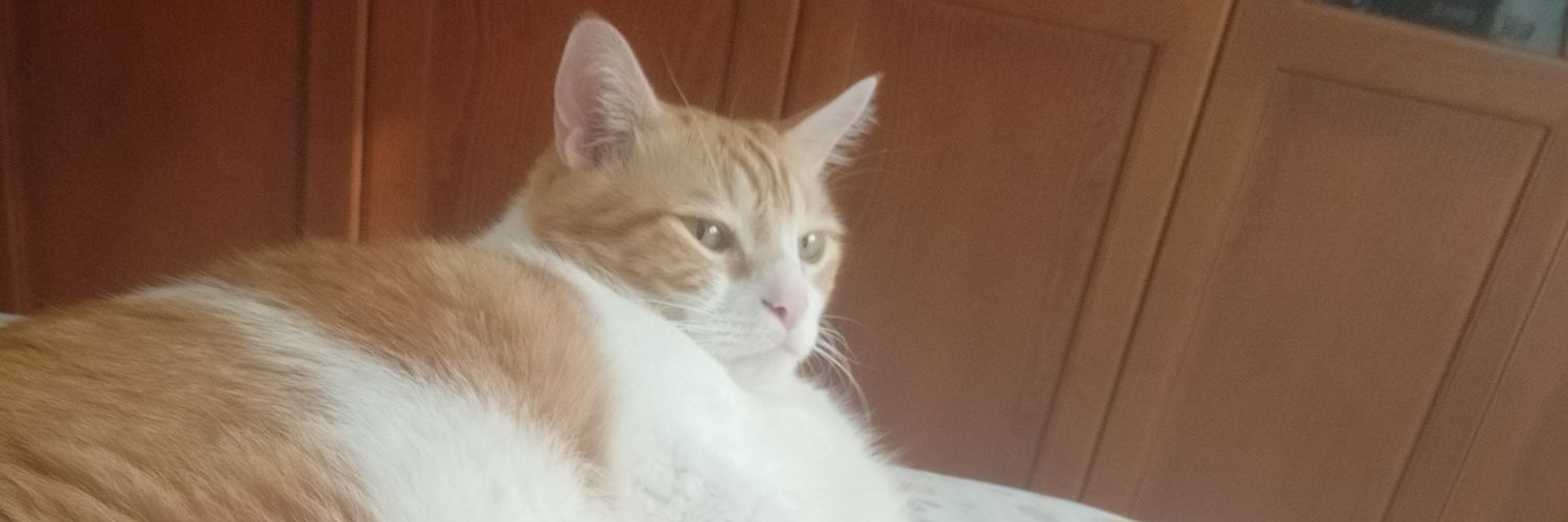 albagangar's profile banner image