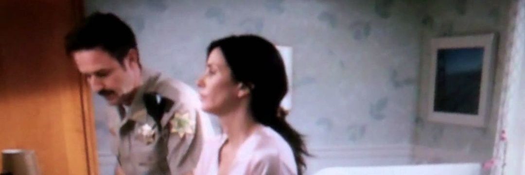 Gale Weathers Riley. Parody. banner