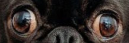 kid__glo's profile banner image