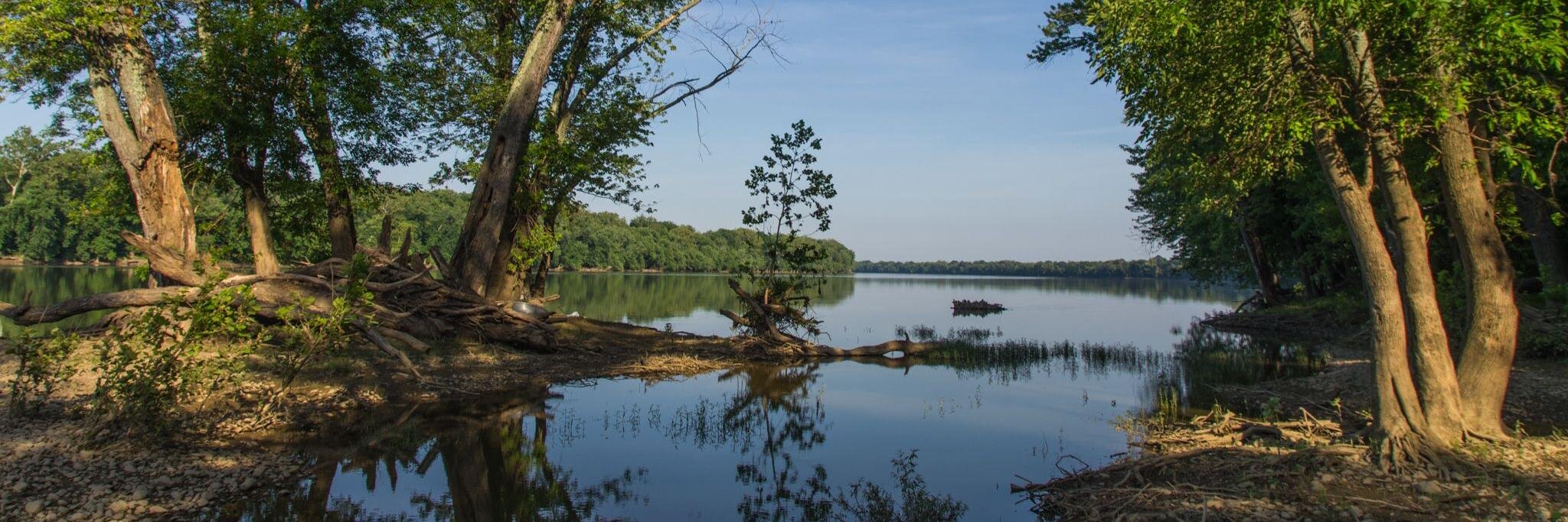 Rachel Cooper banner