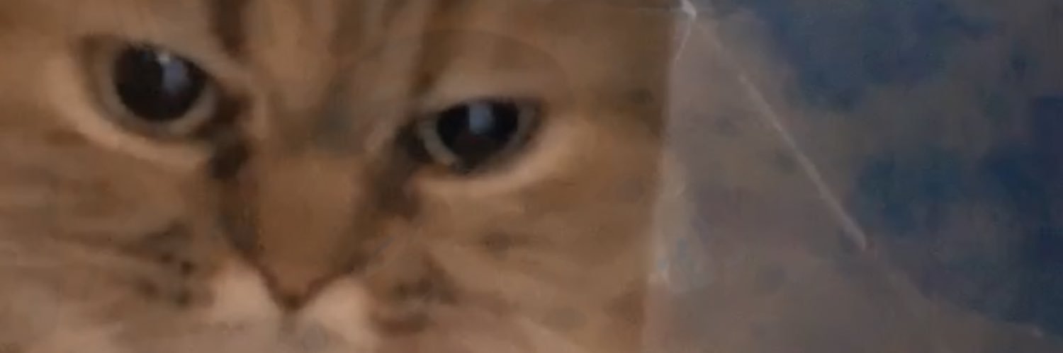 BEkTOo_79's profile banner image