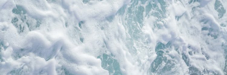 evamallows's profile banner image