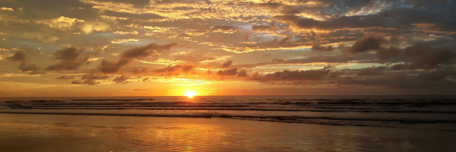 pequena_aps's profile banner image