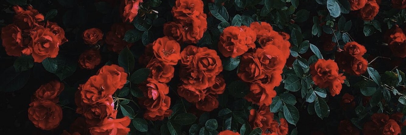 shiprekkt's profile banner image