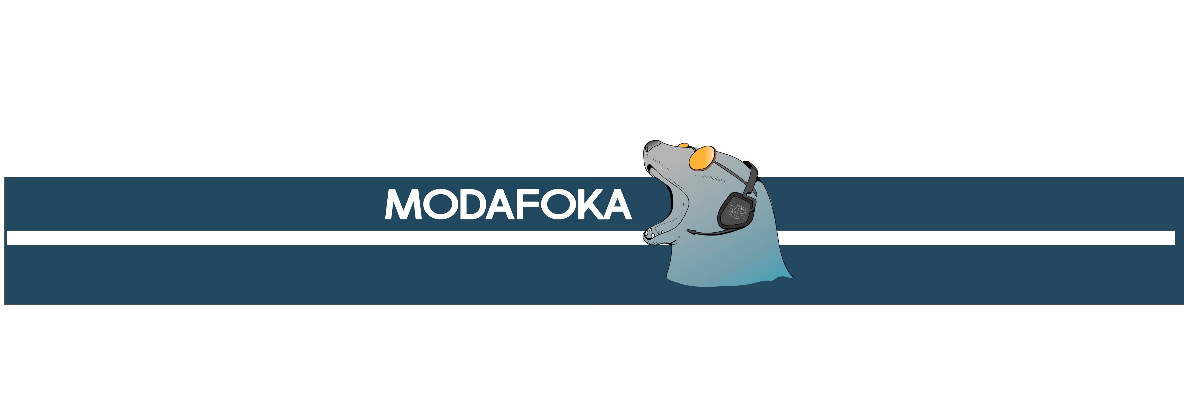 viniciusfoka's profile banner image