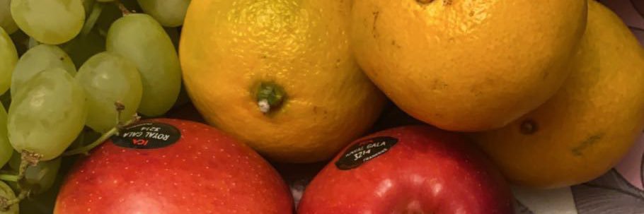 Malin Wiklund banner