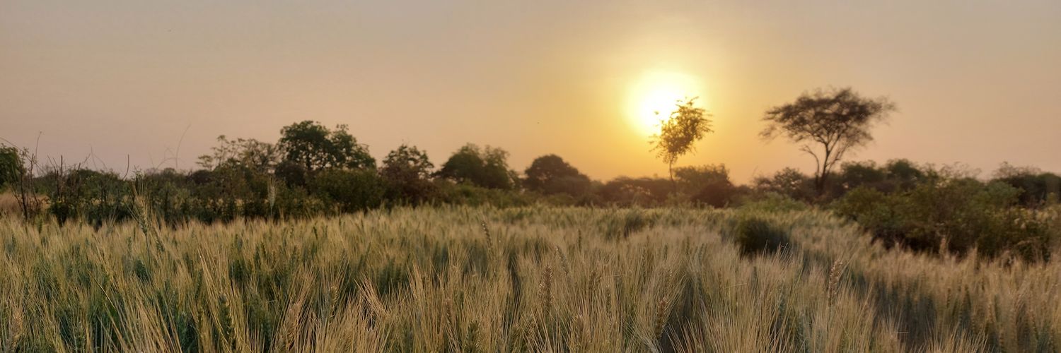 vikaspatil198's profile banner image