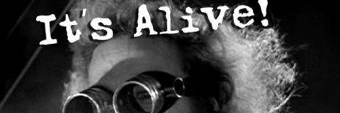 GreenSteban's profile banner image