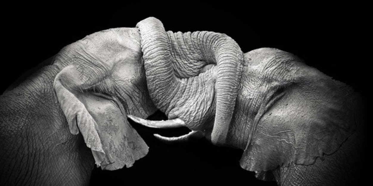 Bdarbs510's profile banner image