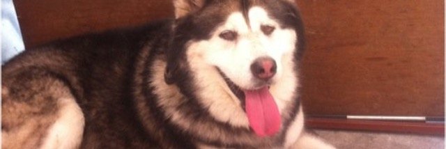 MaikyZamora's profile banner image