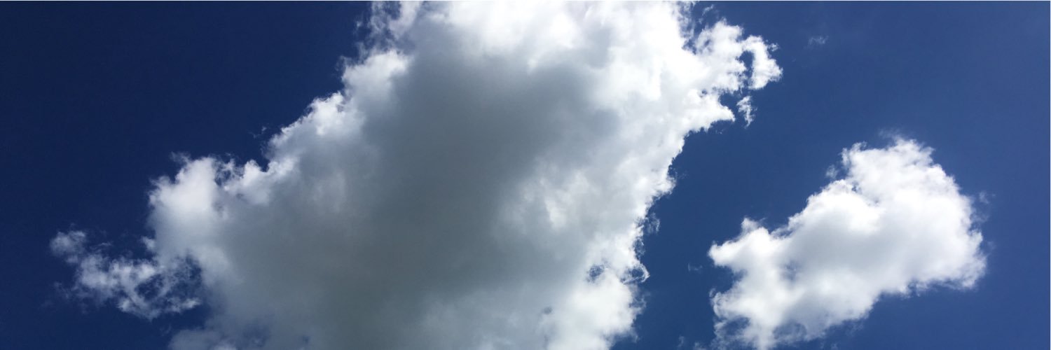 raydaturner's profile banner image