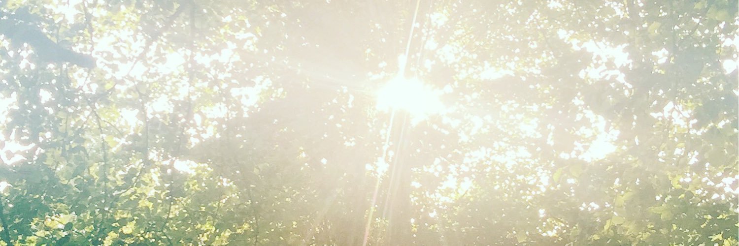 SiobhanLynott's profile banner image