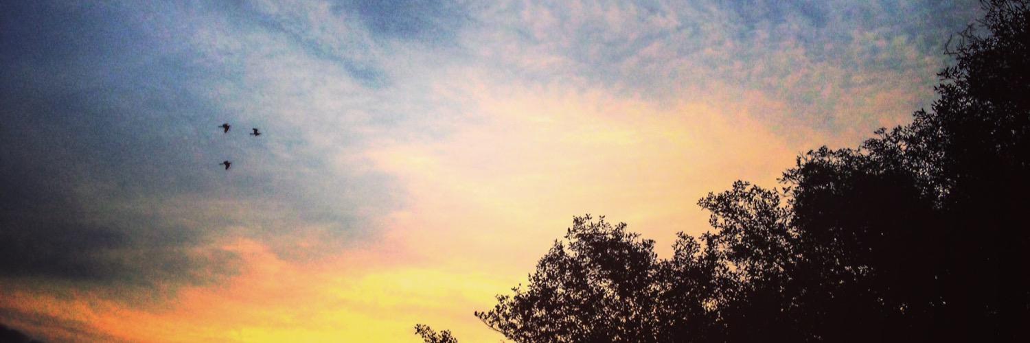 katafahry's profile banner image