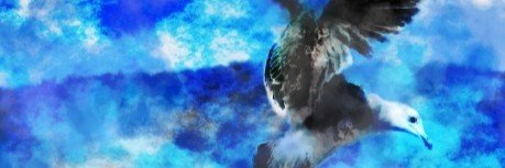 DirectChick's profile banner image