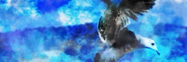 DirectChick Profile Banner