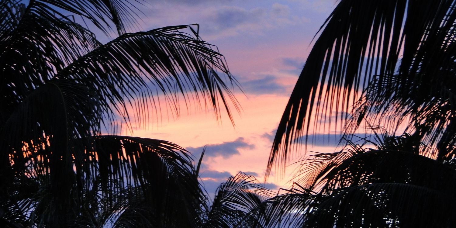 JuliLopezRadits's profile banner image