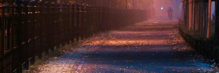 Saliel7777's profile banner image