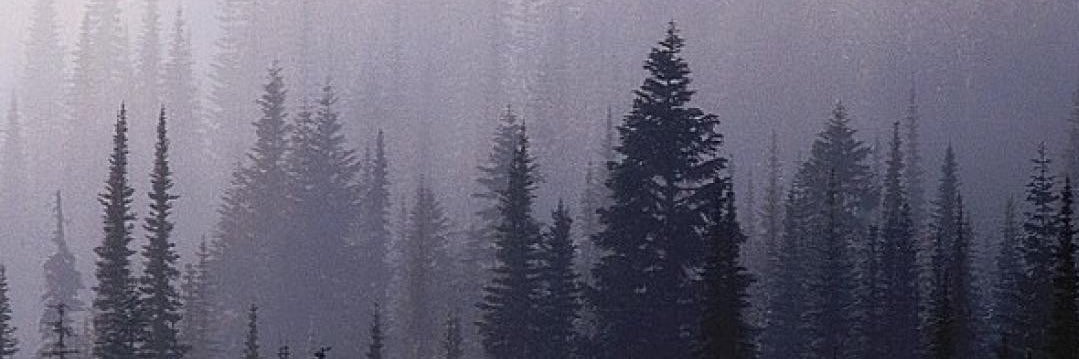jacksgee_'s profile banner image