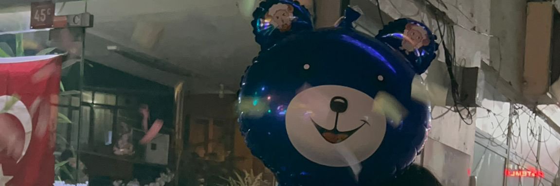 ayceydaiste's profile banner image